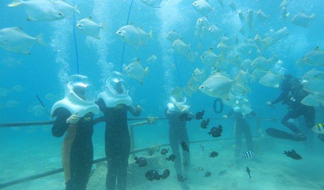 虫虫助手下载