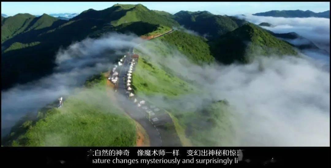 起重机卡车找不同